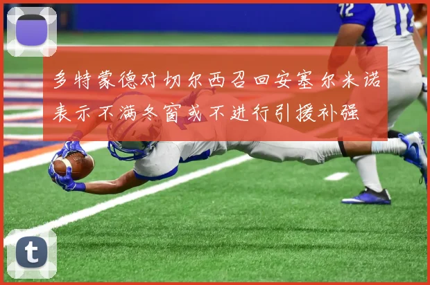 多特蒙德对切尔西召回安塞尔米诺表示不满冬窗或不进行引援补强