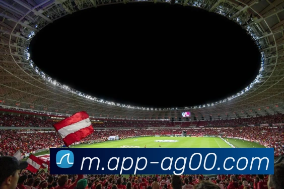 App 展示图